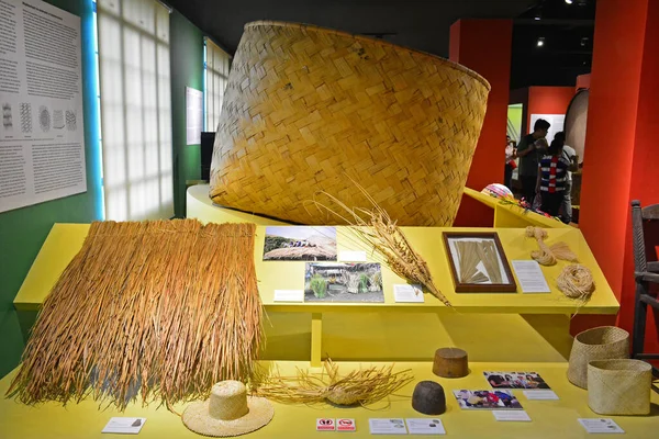 Manila Juli Ausstellung Des Nationalen Museums Für Anthropologie Pflanzenmaterialien Juli — Stockfoto