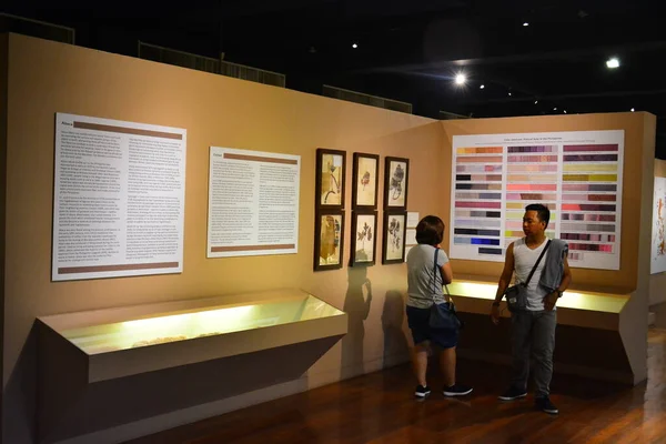 Manila Julio Museo Nacional Antropología Sección Exposiciones Textiles Filipinas Julio —  Fotos de Stock