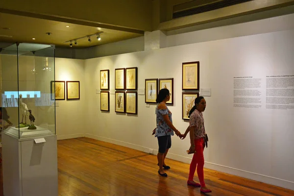 Manila Julio Museo Nacional Antropología Exhibición Cultivos Arroz Julio 2018 —  Fotos de Stock