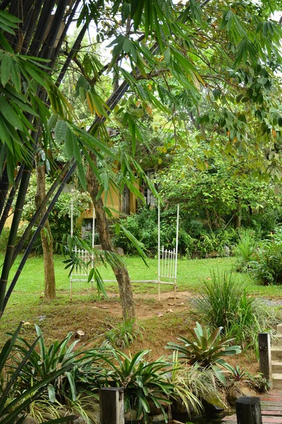 Rizal Dec Pinto Kunstmuseum Tuin December 2018 Antipolo Rizal Filipijnen — Stockfoto