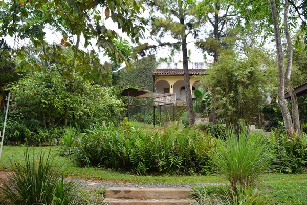 Rizal Dec Pinto Art Museum Outdoor Garden December 2018 Antipolo — Zdjęcie stockowe