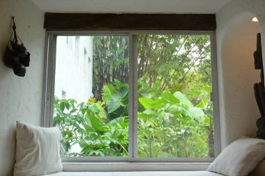 Gündüz vakti bahçe ve bitki manzaralı ev penceresi