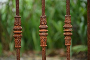 Bahçedeki paslı metal bahçe kapısı boyanmamış.