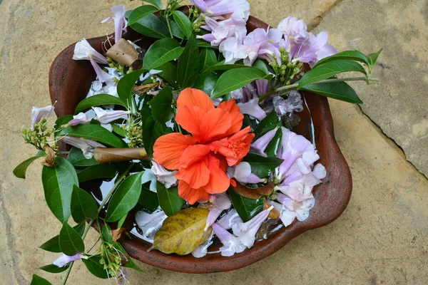 Belo Arranjo Flores Folhas Com Água Colocada Pote — Fotografia de Stock