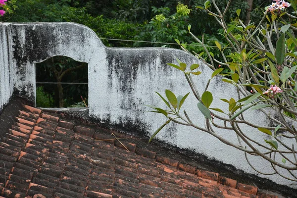 House Roof Detail Φυτά Φιλιππίνες — Φωτογραφία Αρχείου