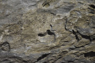 Yapı malzemesi olarak pürüzlü gri kaya yüzeyi arka plan kullanımı