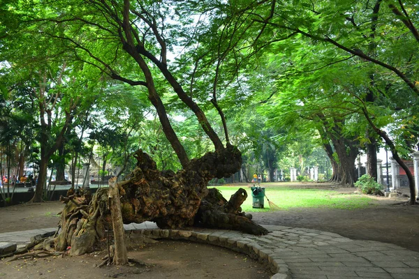 Manila Oct Parque Aire Libre Ciudad Amurallada Intramuros Octubre 2019 — Foto de Stock