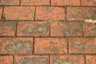 Filipinler 'de İspanyol döneminde kırmızı katı tuğlalar