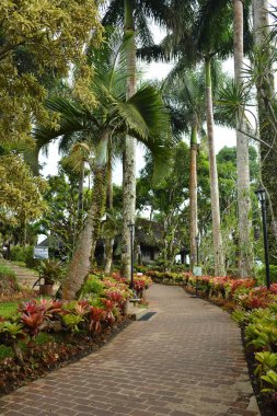 BATANGAS, PH - 4 Mayıs 2019 tarihinde Caleruega Yolu, Nasugbu, Batangas, Filipinler.