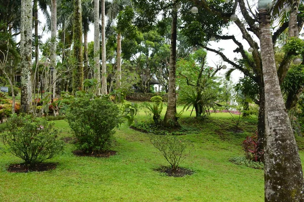 May Caleruega Garden Area 2019 필리핀 바탕가 부에서 — 스톡 사진