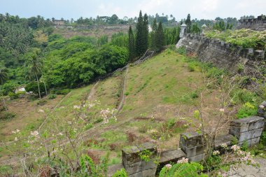 Filipinler, Batangas 'ta gündüz vakti ağaçlar ve yapraklarla kaplı dağ manzarası.