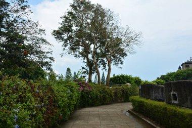 Filipinler 'de çevreleyen bitki ve ağaçların bulunduğu tema parkı yolu