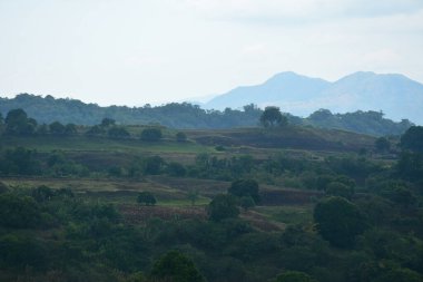 Filipinler, Batangas 'ta gündüz vakti ağaçlar ve yapraklarla kaplı dağ manzarası.