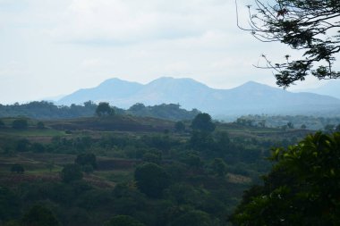 Filipinler, Batangas 'ta gündüz vakti ağaçlar ve yapraklarla kaplı dağ manzarası.