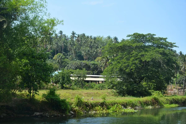 Gård Med Träd Gröna Blad Och Flodvatten Dagtid Filippinerna — Stockfoto
