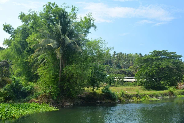 Granja Con Árboles Hojas Verdes Agua Río Durante Día Filipinas — Foto de Stock