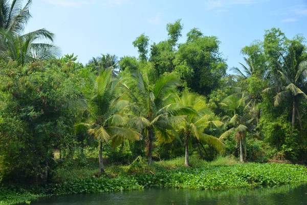 Granja Con Árboles Hojas Verdes Agua Río Durante Día Filipinas — Foto de Stock