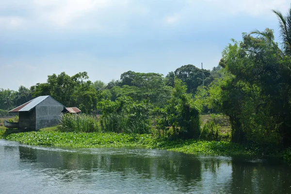 フィリピンの昼間は緑の葉と川の水を持つ農場 — ストック写真