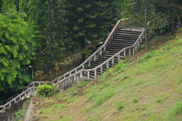 Kurvenreiche Treppen Berg Mit Umgebenden Bäumen Und Gras Auf Den — Stockfoto