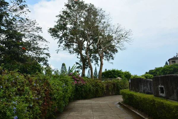 Sendero Del Parque Temático Con Plantas Árboles Circundantes Filipinas — Foto de Stock