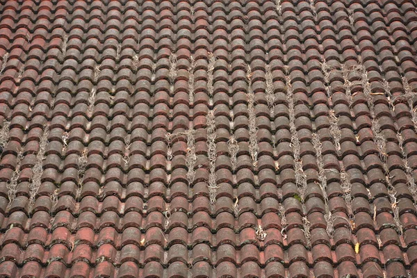 Кривая Черепица Крыши Дома Покрыты Зелеными Водорослями Фоновом Использовании Покрытия — стоковое фото