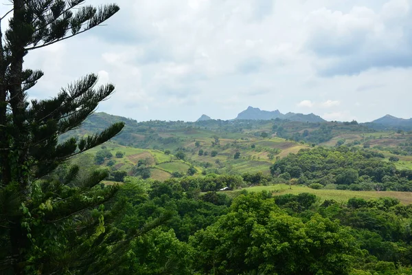 Filipinler, Batangas 'ta gündüz vakti ağaçlar ve yapraklarla kaplı dağ manzarası.