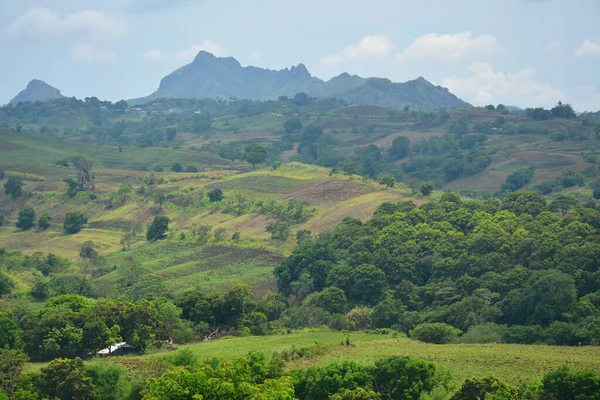 Filipinler, Batangas 'ta gündüz vakti ağaçlar ve yapraklarla kaplı dağ manzarası.