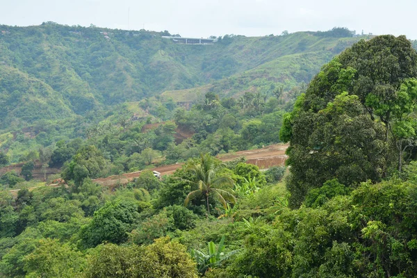 Vista Montaña Con Árboles Hojas Durante Día Tagaytay Filipinas — Foto de Stock