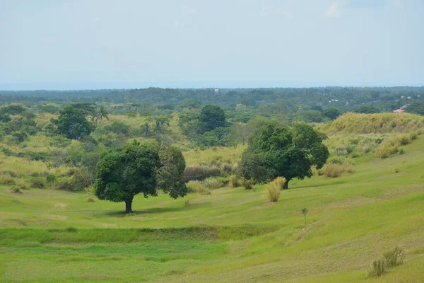 Leerstehendes Grundstück Mit Blick Auf Gras Und Bäume Tagsüber Tagaytay — Stockfoto