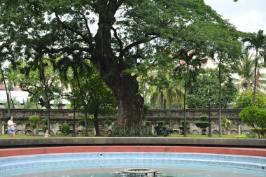 MANILA, PH-OCT 20 - Paco Park çeşmesi 20 Ekim 2018, Manila, Filipinler. Paco Park bir eğlence bahçesidir ve bir zamanlar İspanyol döneminde mezarlıktı.