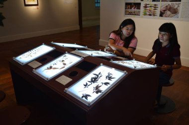 MANILA, PH - OCT 20 - Ulusal Doğal Tarih Müzesi 20 Ekim 2018 tarihinde Manila, Filipinler 'de sergilenmektedir.