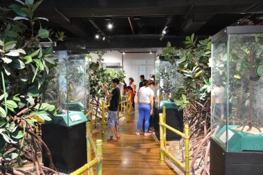 MANILA, PH - OCT 20 - Ulusal Doğal Tarih Müzesi Zooloji Hayvan Sergisi 20 Ekim 2018, Manila, Filipinler.