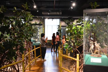 MANILA, PH - OCT 20 - Ulusal Doğal Tarih Müzesi Zooloji Hayvan Sergisi 20 Ekim 2018, Manila, Filipinler.