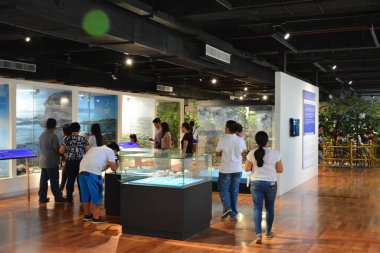 MANILA, PH - OCT 20 - Ulusal Doğal Tarih Müzesi Mangrov Bölümü Sergisi 20 Ekim 2018, Manila, Filipinler.