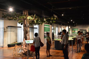 MANILA, PH - OCT 20 - Ulusal Doğal Tarih Müzesi Zooloji Hayvan Sergisi 20 Ekim 2018, Manila, Filipinler.