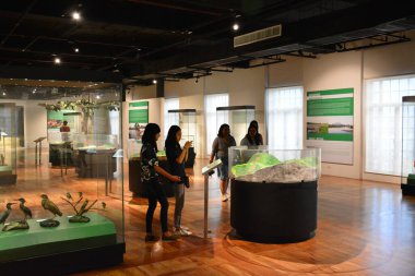 MANILA, PH - OCT 20 - Ulusal Doğal Tarih Müzesi Zooloji Hayvan Sergisi 20 Ekim 2018, Manila, Filipinler.