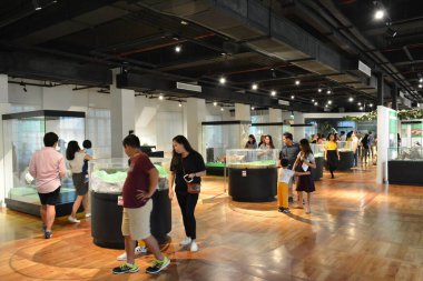 MANILA, PH - OCT 20 - Ulusal Doğal Tarih Müzesi Zooloji Hayvan Sergisi 20 Ekim 2018, Manila, Filipinler.