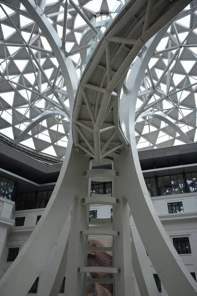 Manila Oct Nationaal Museum Voor Natuurgeschiedenis Boom Van Het Leven — Stockfoto