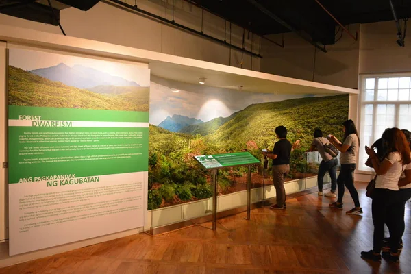 Manila Oct Národní Muzeum Přírodní Historie Lesní Trpasličí Galerie Října — Stock fotografie