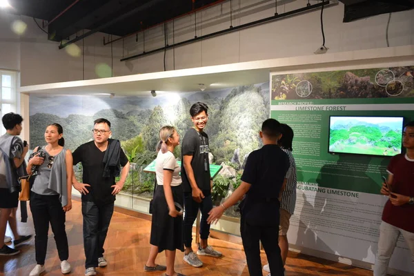 Manila Oktober 2018 Ausstellung Naturhistorischen Nationalmuseum Manila Philippinen — Stockfoto