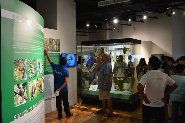 Manila Oktober 2018 Ausstellung Naturhistorischen Nationalmuseum Manila Philippinen — Stockfoto