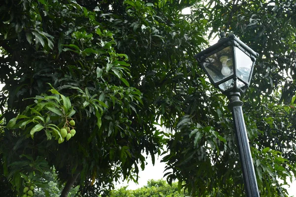 Poste Lâmpada Aço Preto Instalar Uso Parque Livre Para Iluminar — Fotografia de Stock