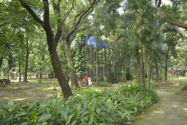 QUEZON ŞEHRİ, PH-OCT 6 Ninoy Aquino Parkları ve Filipinler 'in Quezon şehrinde 6 Ekim 2018' de çevreleyen ağaçlar.