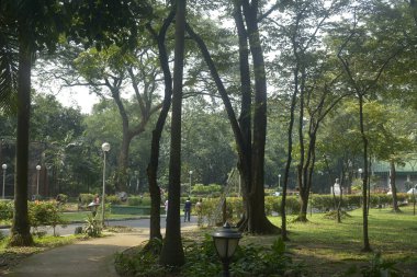 QUEZON ŞEHRİ, PH-OCT 6 Ninoy Aquino Parkları ve Filipinler 'in Quezon şehrinde 6 Ekim 2018' de çevreleyen ağaçlar.