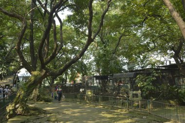 QUEZON CITY, PH-OCT 6 - Ninoy Aquino Parkları ve Vahşi Yaşam Kurtarma Merkezi Hayvan Kafesi 6 Ekim 2018, Quezon City, Filipinler.