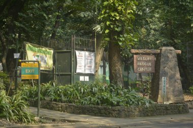 QUEZON CITY, PH-OCT 6 - Ninoy Aquino Parkları ve Vahşi Yaşam Kurtarma Merkezi 6 Ekim 2018, Quezon City, Filipinler.