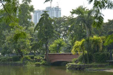 QUEZON ŞEHRİ, PH-OCT 6 Ninoy Aquino parkları ve vahşi yaşam su lagünü artı 6 Ekim 2018 'de Quezon City, Filipinler' de köprü.