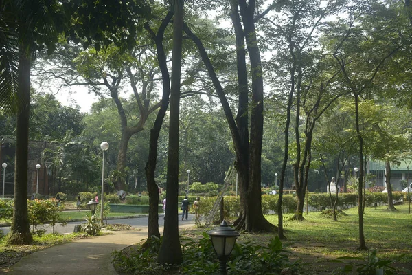 QUEZON ŞEHRİ, PH-OCT 6 Ninoy Aquino Parkları ve Filipinler 'in Quezon şehrinde 6 Ekim 2018' de çevreleyen ağaçlar.