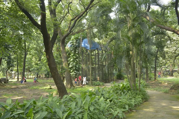 Quezon City Oct Ninoy Aquino Parks Wild Surrounding Trees October — Φωτογραφία Αρχείου