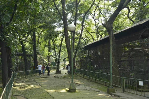 Quezon City Oct Ninoy Aquino Parkları Vahşi Yaşam Kurtarma Merkezi — Stok fotoğraf